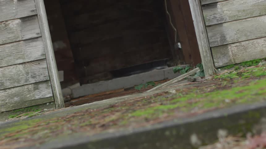 Hooded Figure In Abandoned House