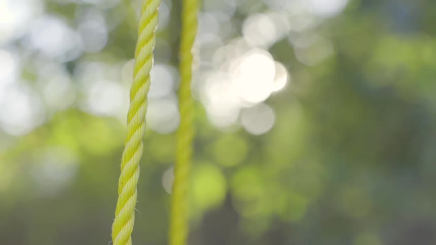 A swing set that has twisted yellow rope connecting the swing to the bar