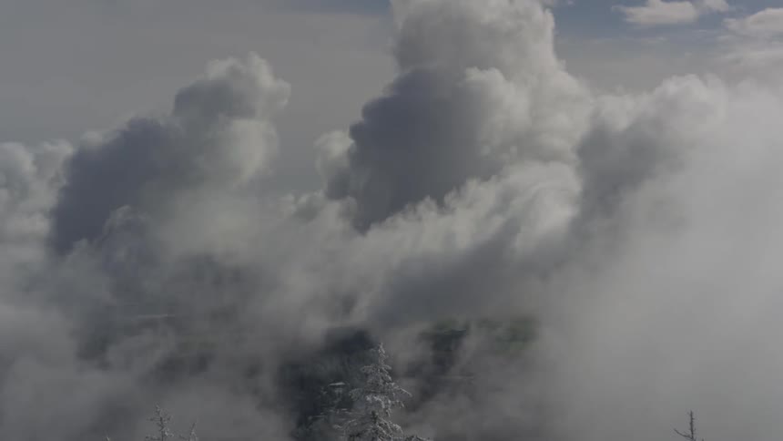 Billowing clouds move across the sky above treetops
