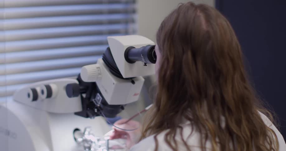 A person using a microscope