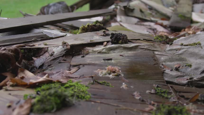 Hooded Figure In Abandoned House