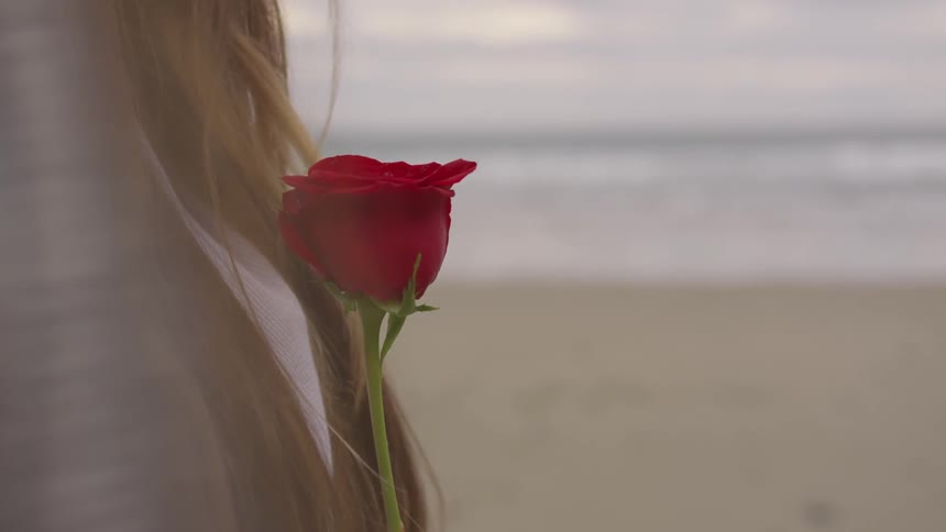 Female holding a rose on the beach