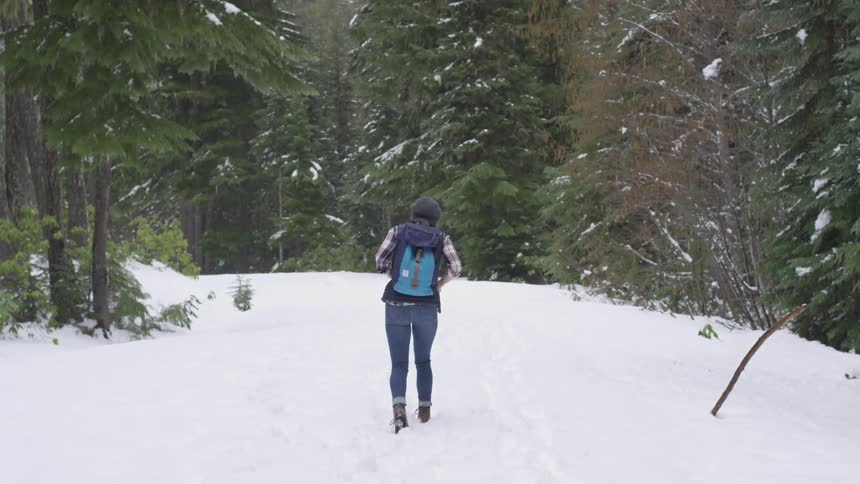 A woman walking in the snow in the forest
