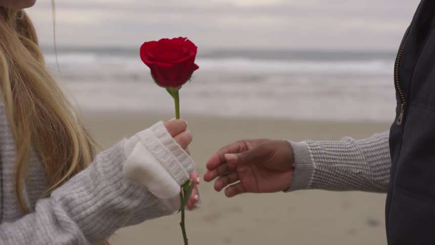 A man hands a woman a rose on the beach