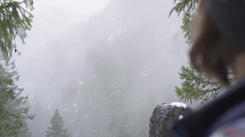 Moisture collects on the surface of leaves and drips creating droplets of water in a foggy climate over a beautiful mountain range as a woman looks out from an observation deck