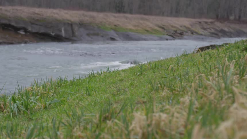 A grassy bank near a river