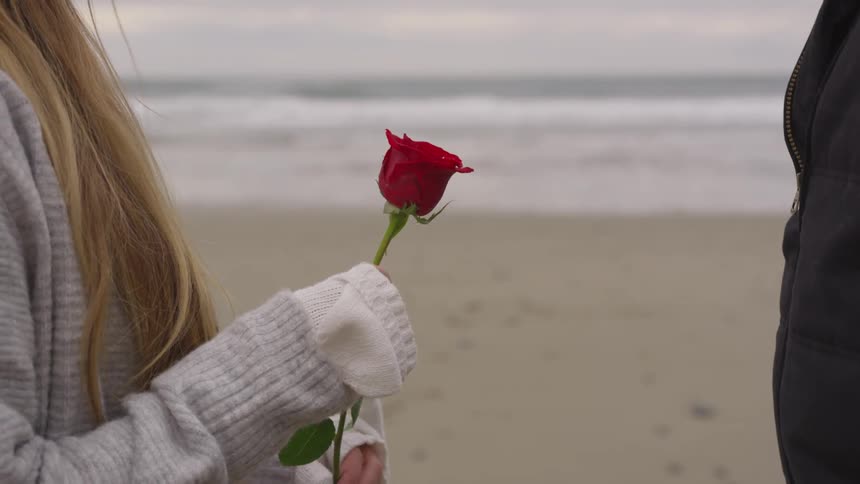 A woman holding a rose in front of a man on the beach
