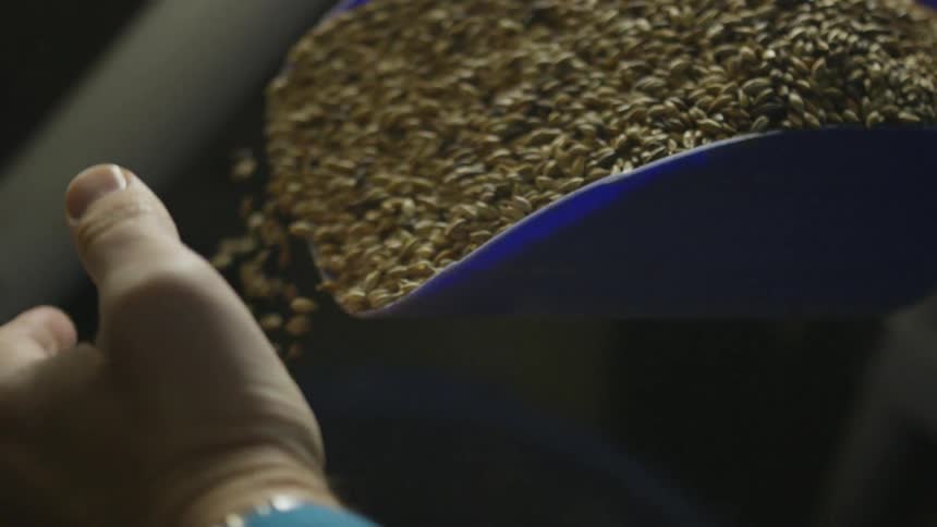 Craft Beer Brewery