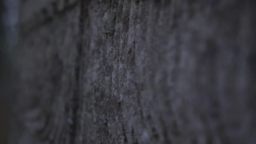 A piece of concrete that is roughly cut
