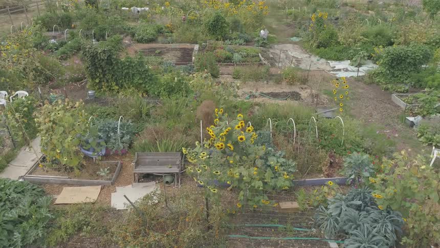 A garden with many different sections is in bloom