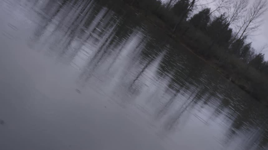 Trees and sky are reflected in the surface of the water