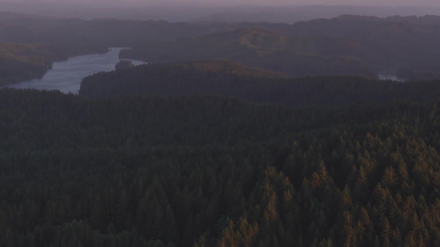 A large forest with a lake in the middle
