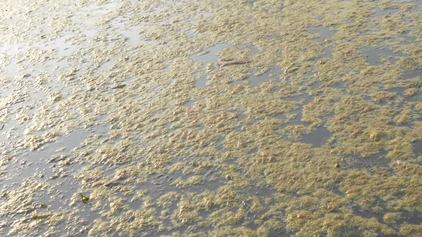 The sun shines on water surrounding sand and dirt