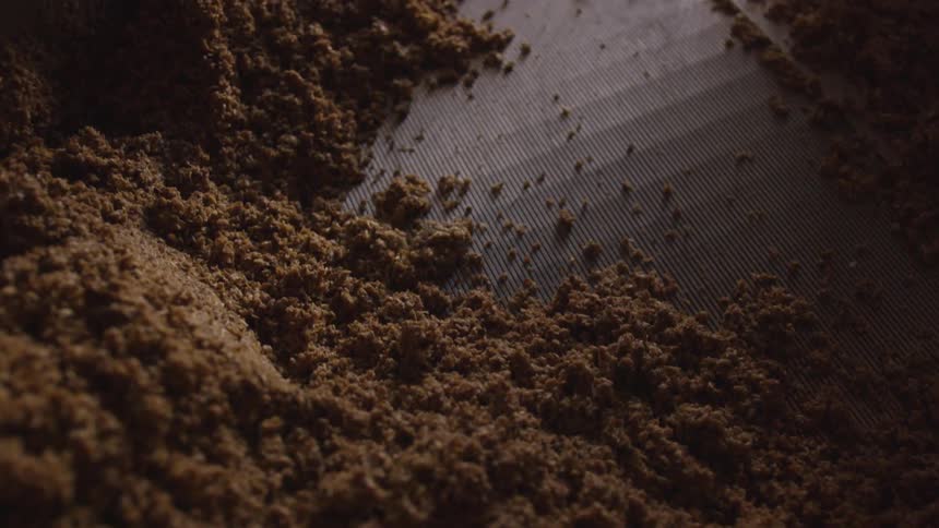The ground is covered with brown debris