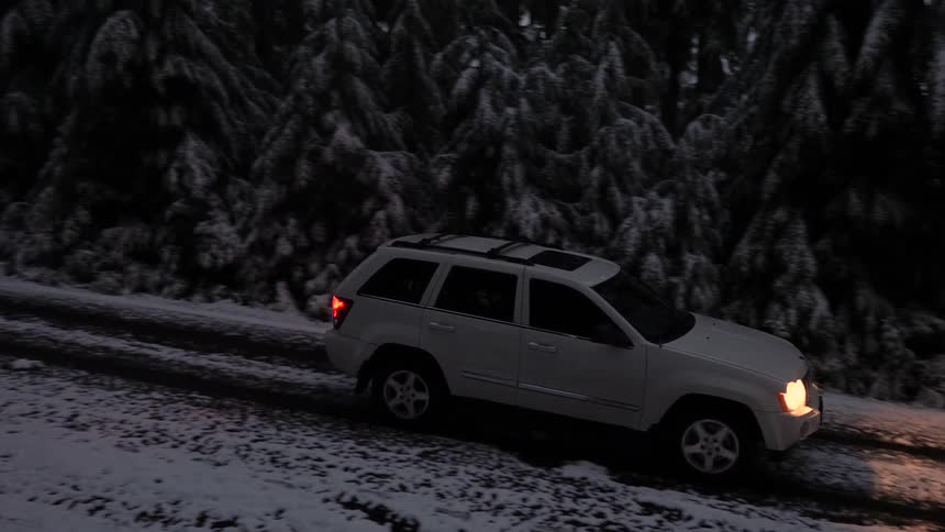 Driving Through Snowy Forest
