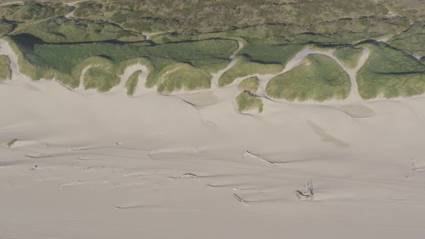A beach that backs up to a forested area