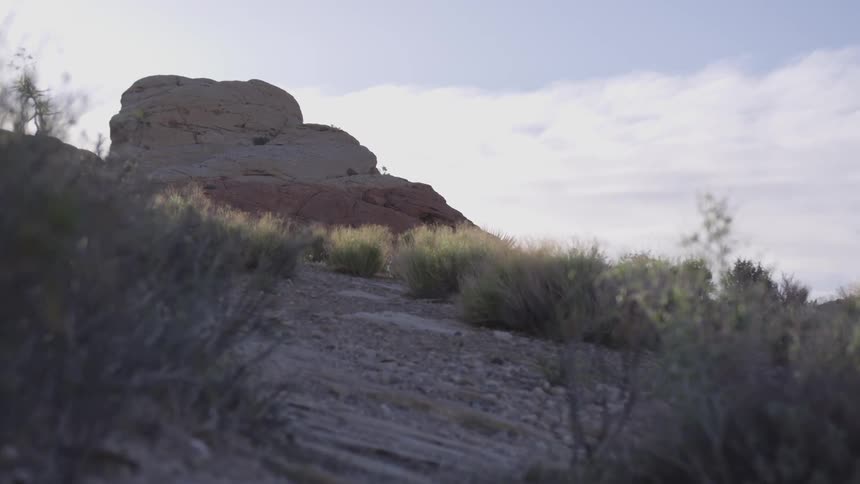 Sun shines over grassy rocky hills