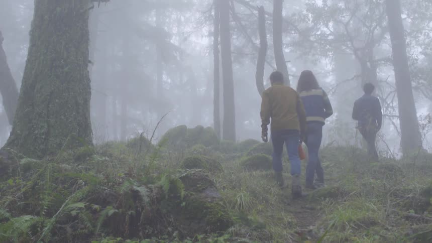 Friends Hiking In Foggy Forest