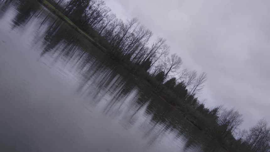 A tree line can be seen on the other side of a body of water