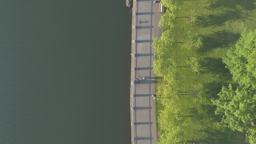 People jog along paved path border by water and trees