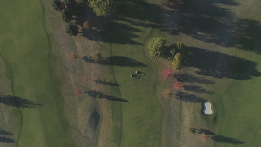 Trees grow on a golf course in autumn