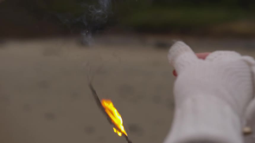 Someone wearing gloves drops a photo as it goes up in flames