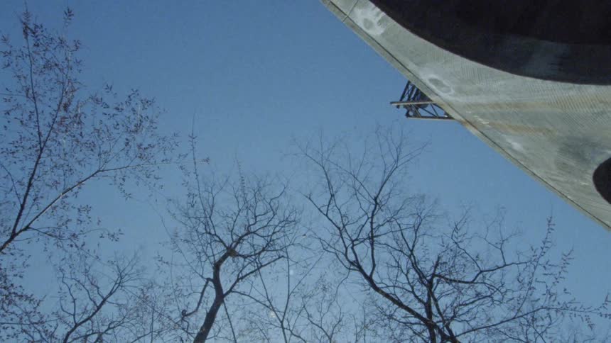 Two birds fly near trees that have no leaves