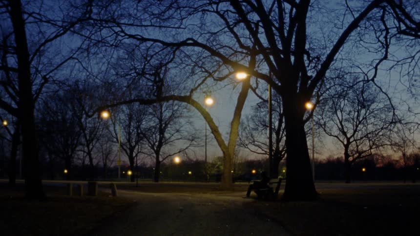 Street lights shine down in a park at dusk