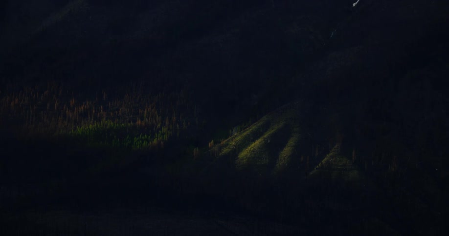 Grassland in very dark conditions