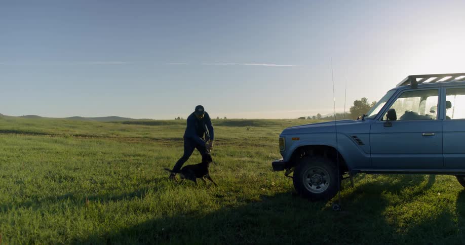 A person holding an object to get a dog to jump up