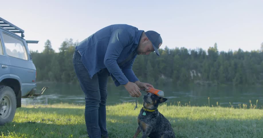 Man puts toy on dog's head by lake at sunset