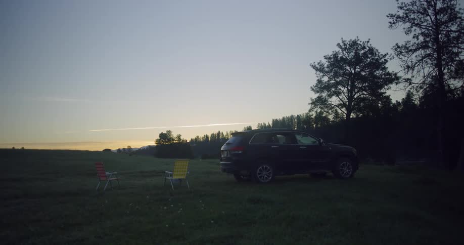 Car is parked on green field next to forest at dusk