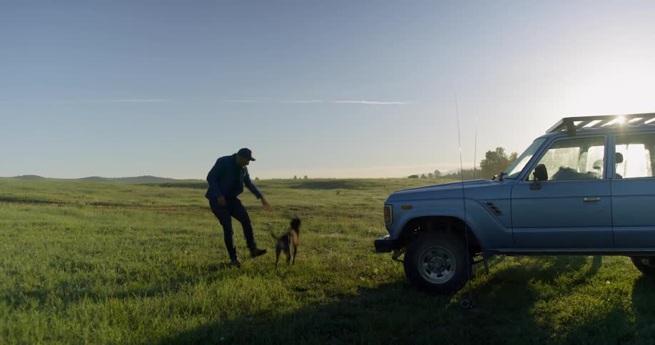 A man in a pasture plays fetch with a dog
