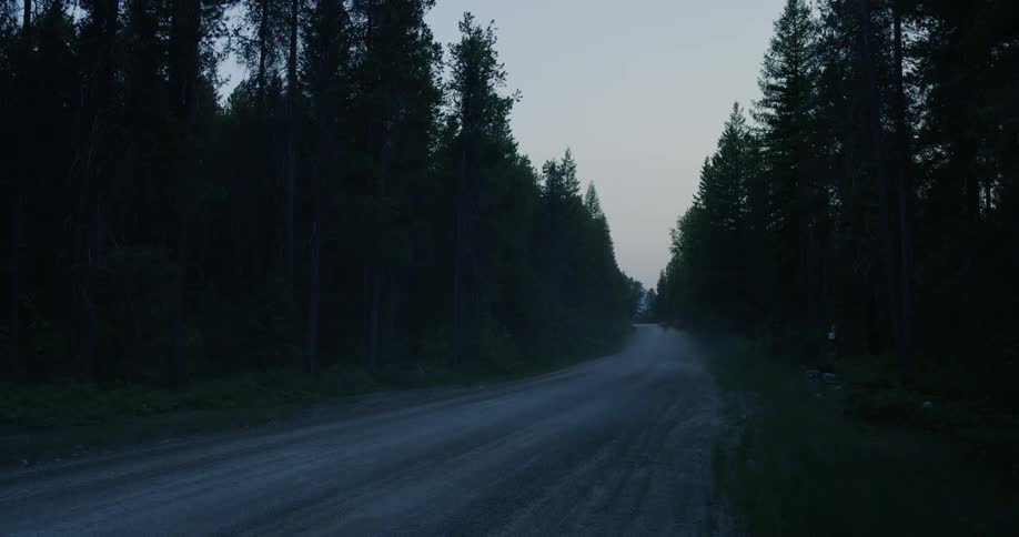 A vehicles races over the dirt road in the middle of the forest