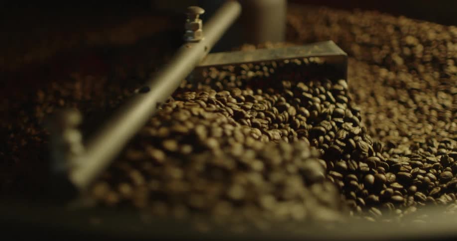 Coffee beans are turned at the head of a machine