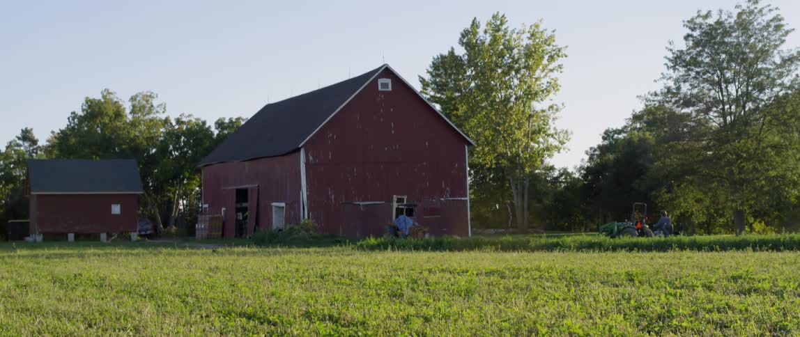 A brown barn stands in a field