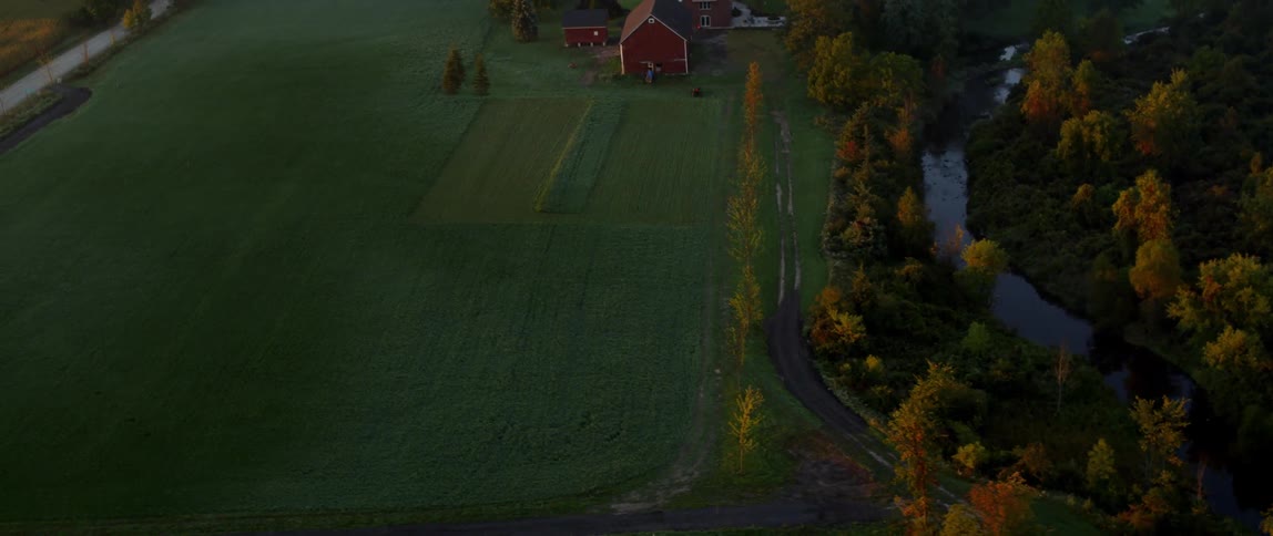 The colors of fall are writ upon trees lining a drive to a red barn and farmhouse