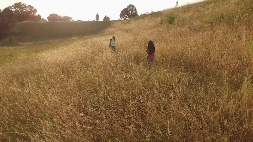 A family walks through a yellow field