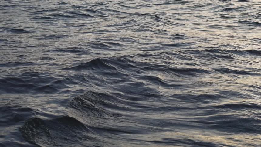 Water ripples and flows on an ocean