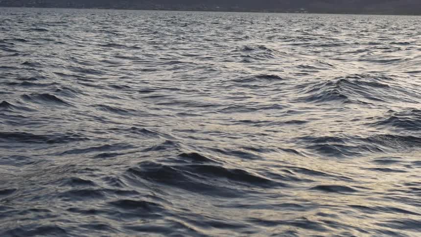 Water ripples and flows on an ocean
