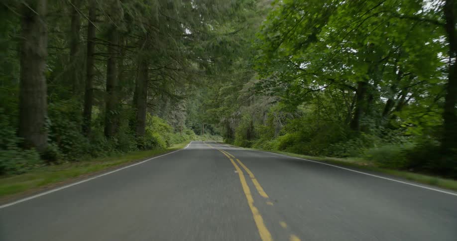 A car travels on a forest road