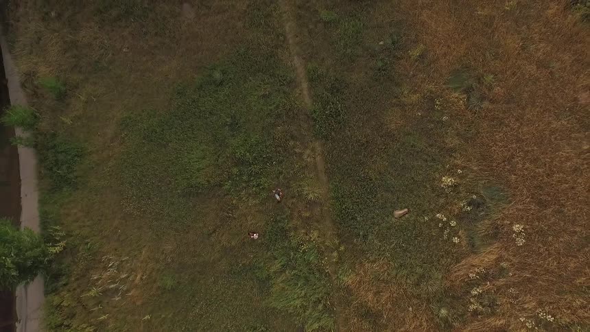 A bird eye view of an empty park