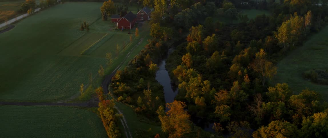 A dirt road crossing a forest leading to a barn