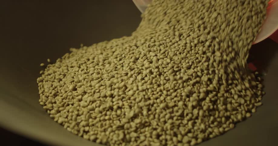 Dry beans poured into large bowl