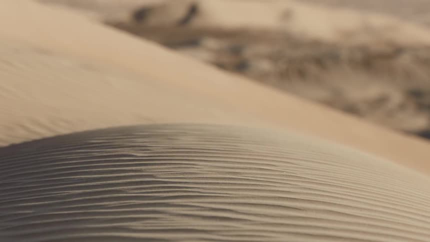 Close-up of wind moving sand on a desert dune