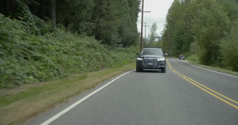 A vehicle travels on the road by the tall trees