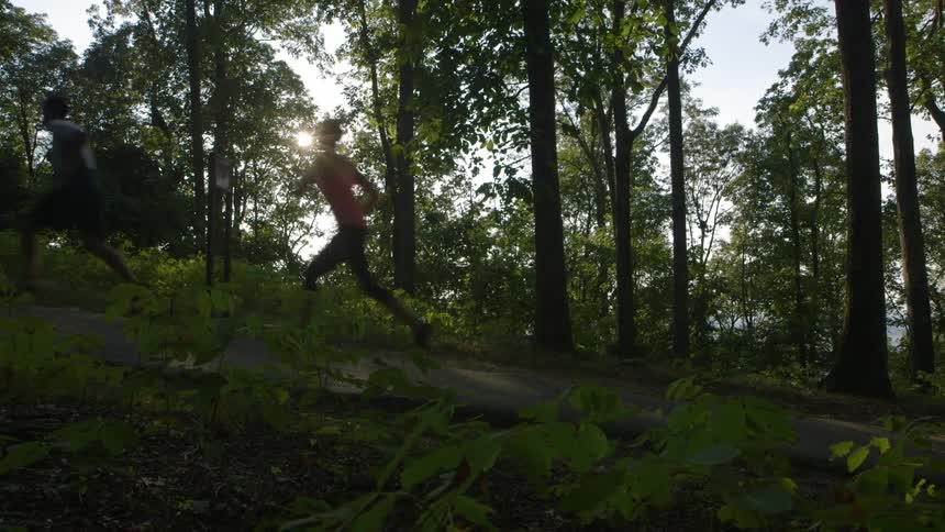 Two people jogging up a wooded hill