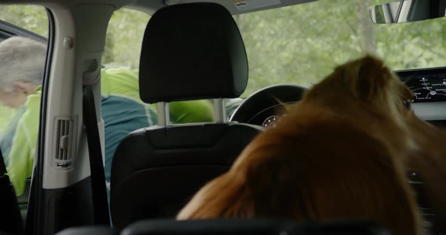A man looks back smiling at his dog before getting out of the car