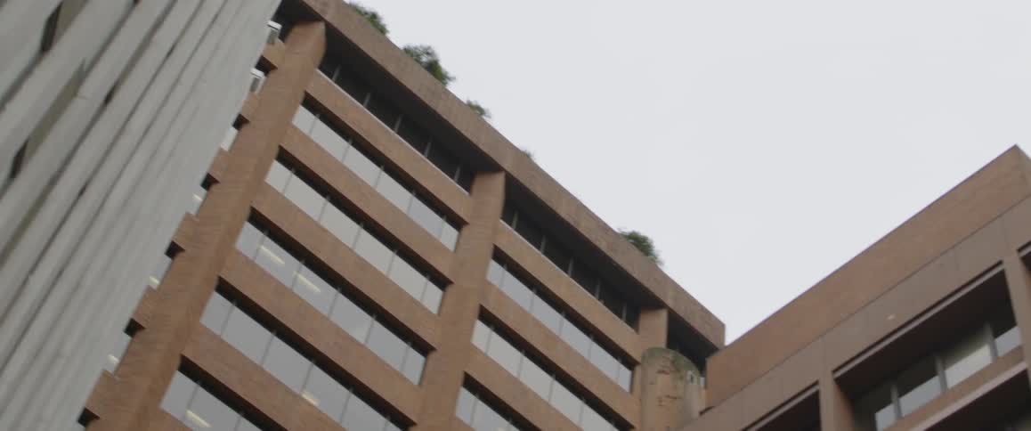 The apartment buildings are lined with windows