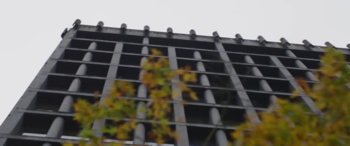 Trees stand next to a tall building